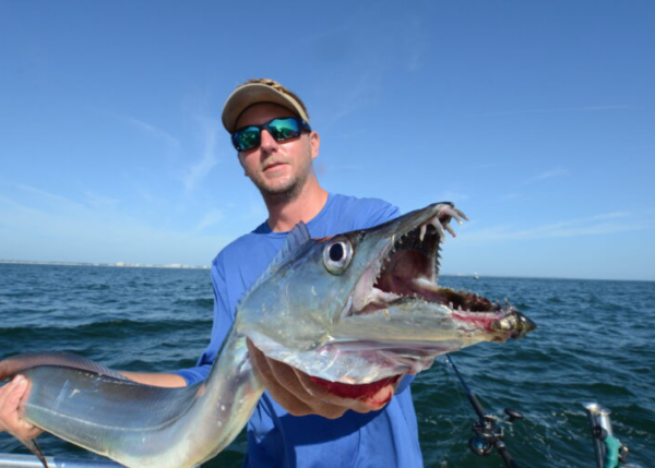 Ribbon Fish