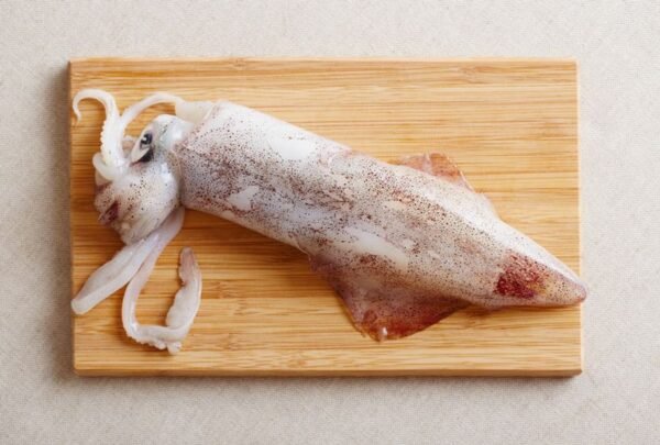 Squid Whole - Image 2